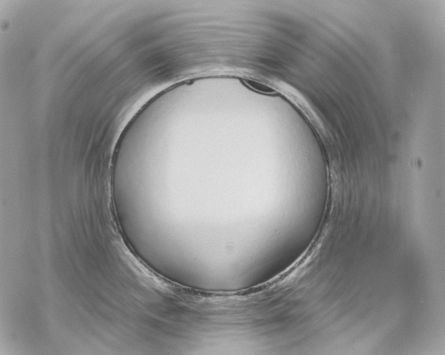 X0000070201244200606161608