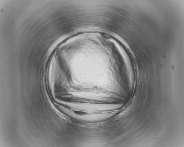 X0000070201245200606161608