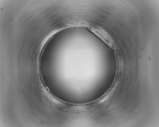 X0000070201246200606161608