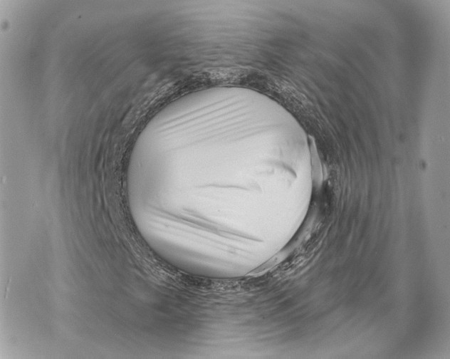 X0000070201249200606161607