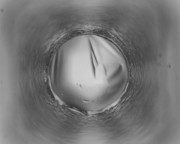 X0000070201253200606161607