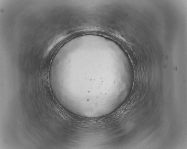 X0000070201255200606161607