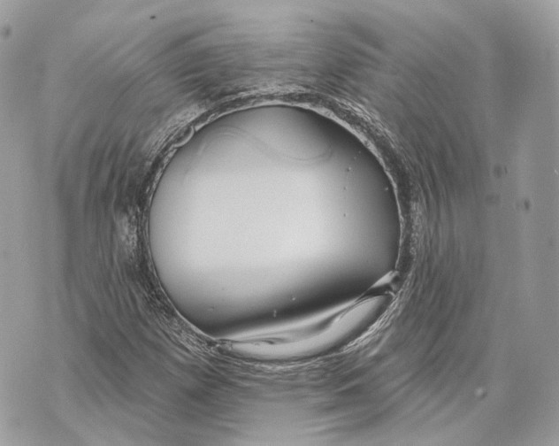 X0000070201257200606161607