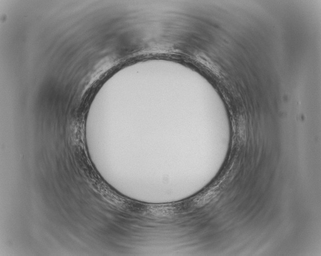 X0000070201258200606161607