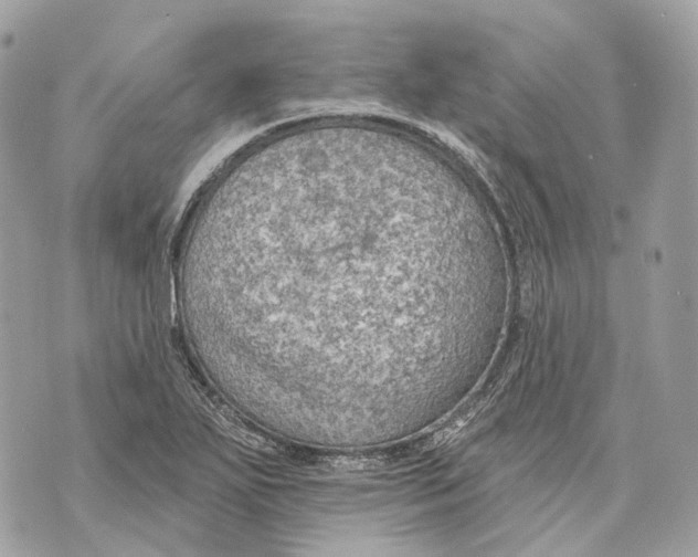 X0000070201271200606161607
