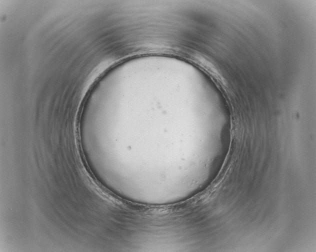 X0000070201283200606161607
