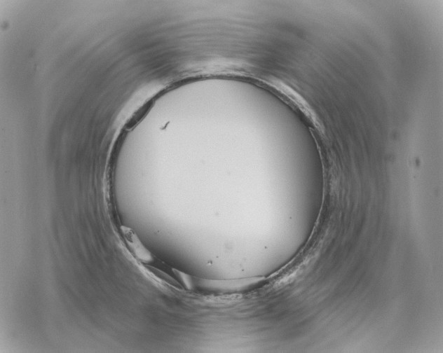 X0000070201285200606161607