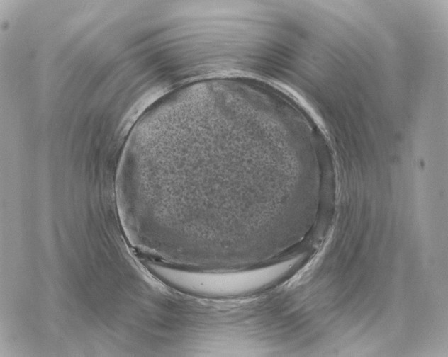 X0000070201289200606161607