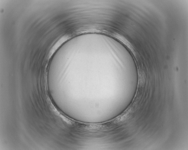 X0000070201290200606161607