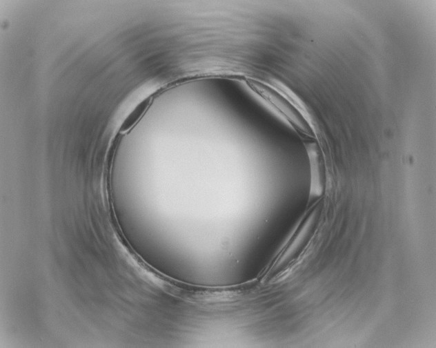 X0000070201293200606161607