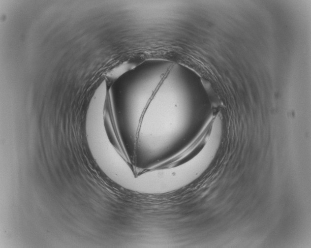 X0000070201298200606161606
