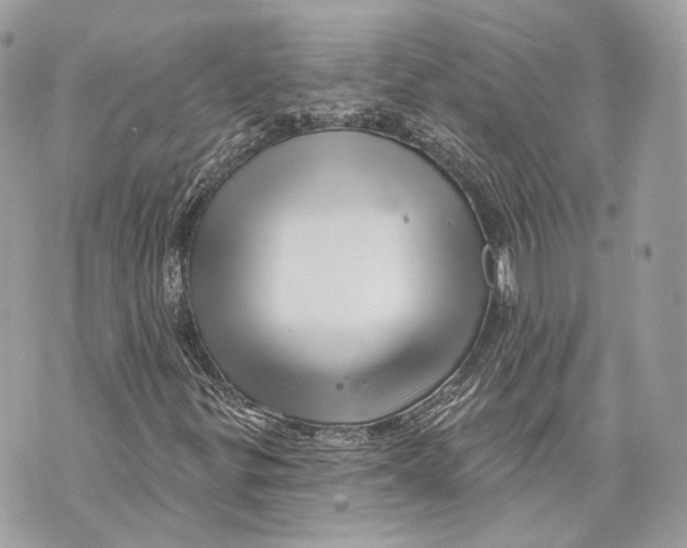 X0000070201299200606161606
