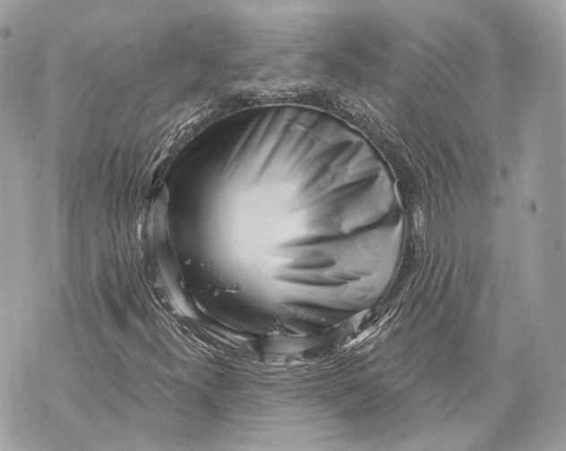 X0000070201300200606161606