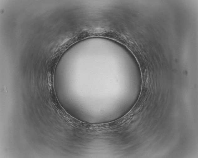 X0000070201301200606161606