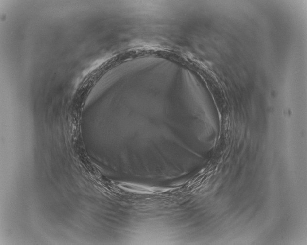 X0000070201303200606161606