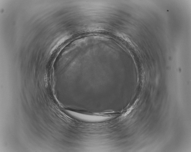X0000070201306200606161606