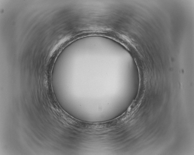 X0000070201307200606161606