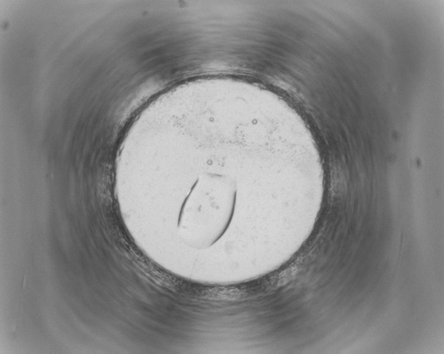 X0000070201314200606161606