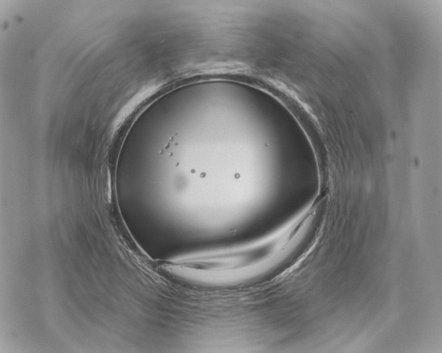 X0000070201317200606161606