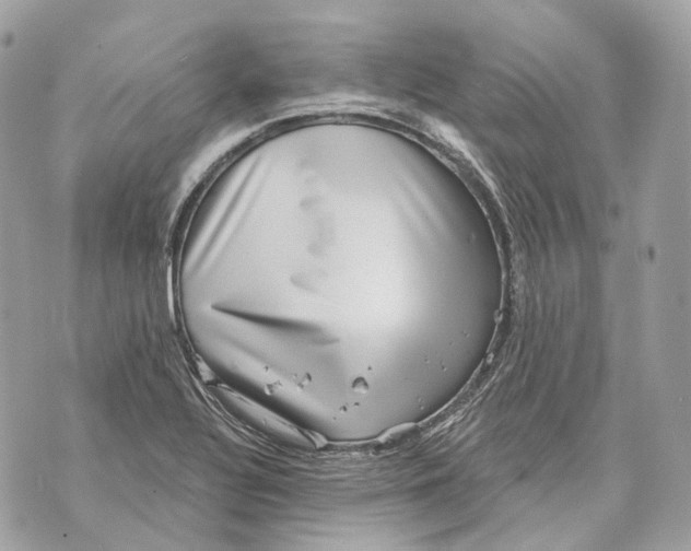 X0000070201320200606161606