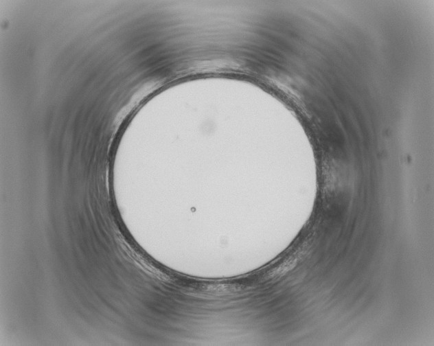 X0000070201322200606161606