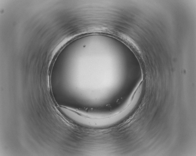 X0000070201324200606161606