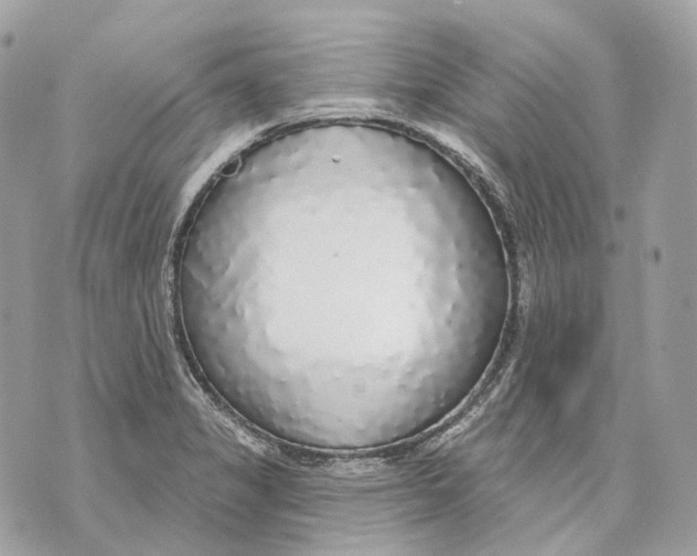 X0000070201325200606161606