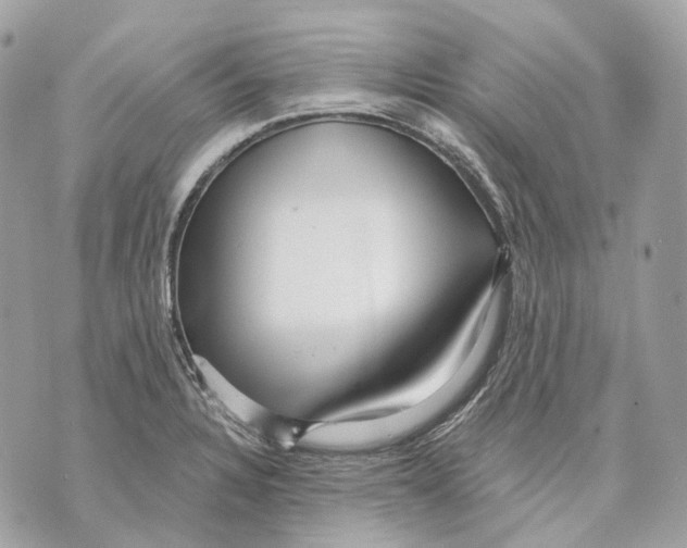 X0000070201328200606161606