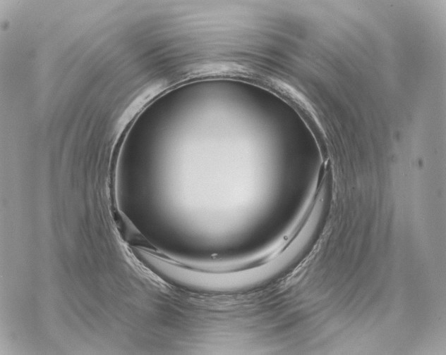 X0000070201330200606161606