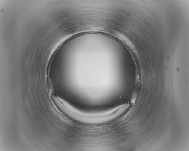 X0000070201332200606161606