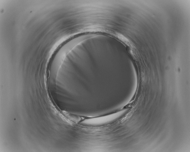 X0000070201334200606161606