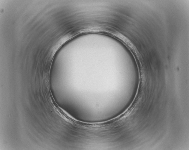 X0000070201337200606161606