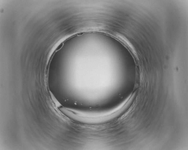 X0000070201340200606161606
