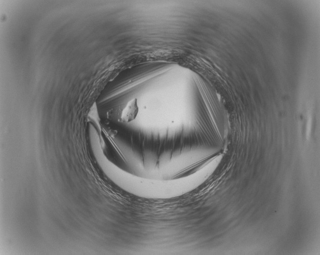X0000070201345200606161606