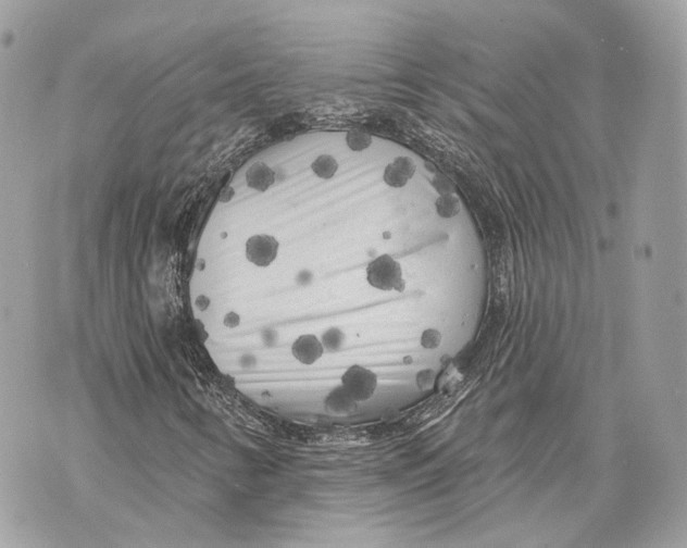 X0000070201346200606161606