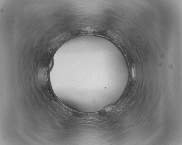 X0000070201347200606161606