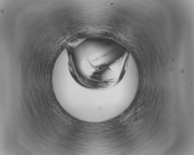 X0000070201348200606161606