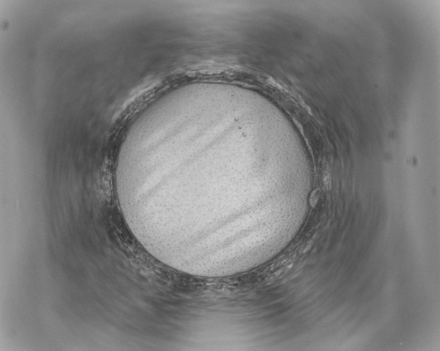 X0000070201350200606161606