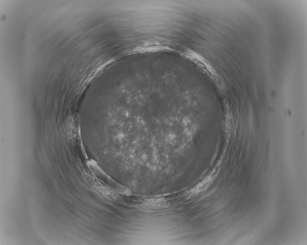 X0000070201353200606161606