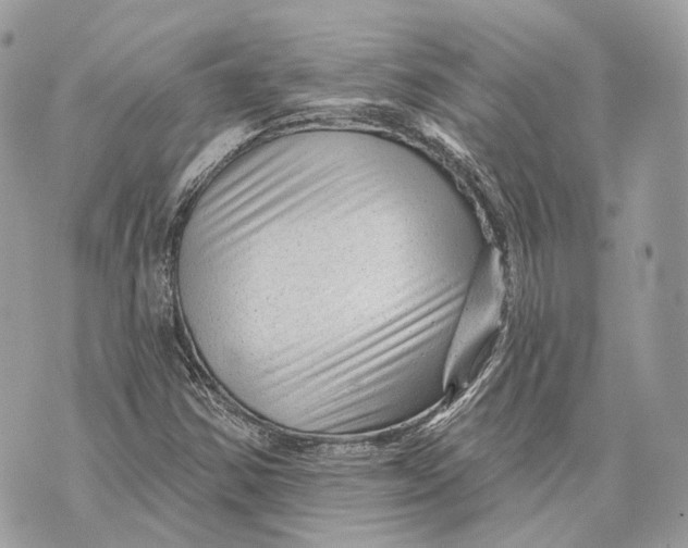 X0000070201354200606161606