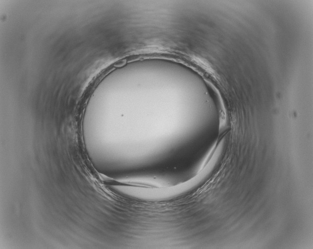 X0000070201356200606161606
