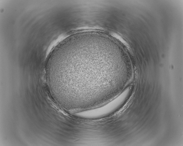X0000070201357200606161606