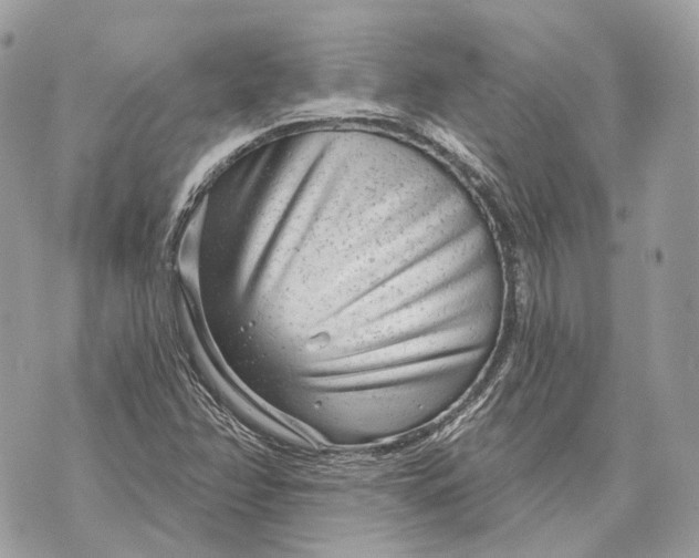 X0000070201358200606161606