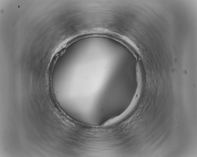 X0000070201364200606161605