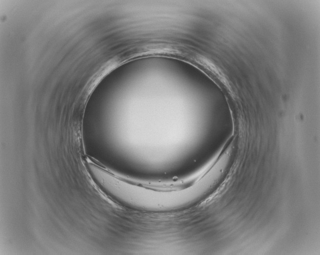 X0000070201377200606161605