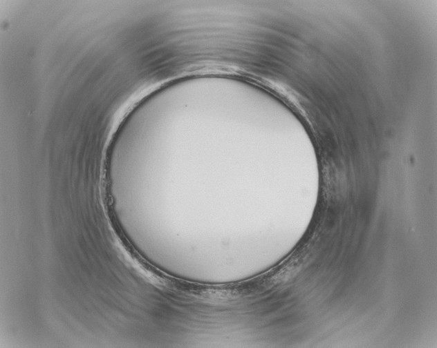 X0000070201379200606161605