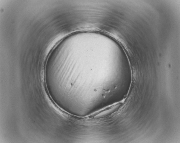 X0000070201383200606161605