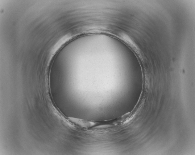 X0000070201384200606161605