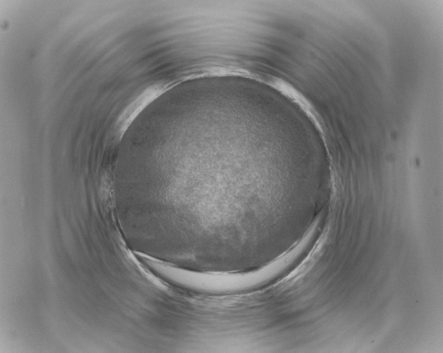 X0000070201385200606161605
