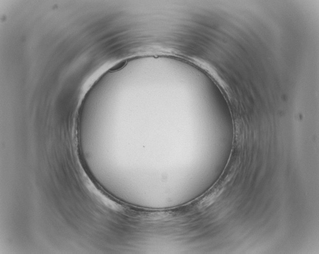 X0000070201387200606161605